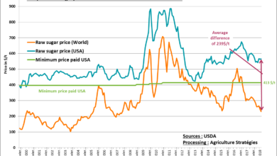 Photo of The sugar policy in the United States: a continuous management of the internal market