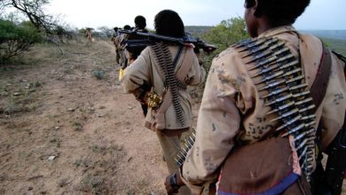 Photo de Les prix bas des matières premières agricoles, facteur d’instabilité politique en Afrique