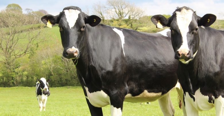 Photo de Faire évoluer la loi Egalim pour mieux l’appliquer dans la Filière Lait