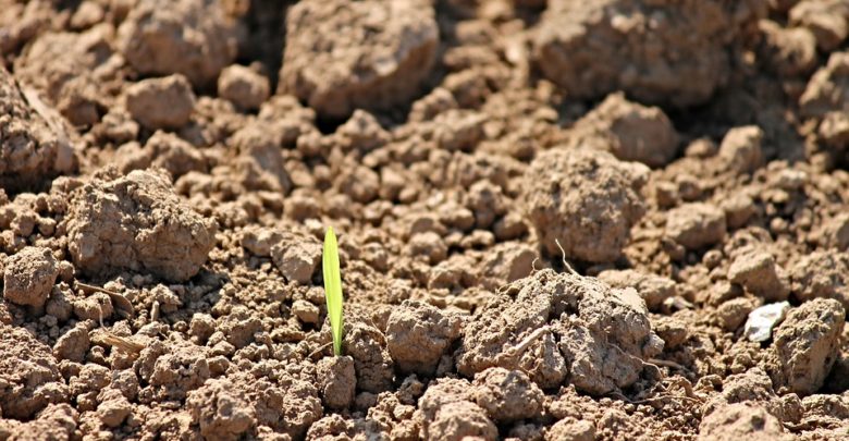 Photo of To what extent can agricultural land policies be euro-compatible?