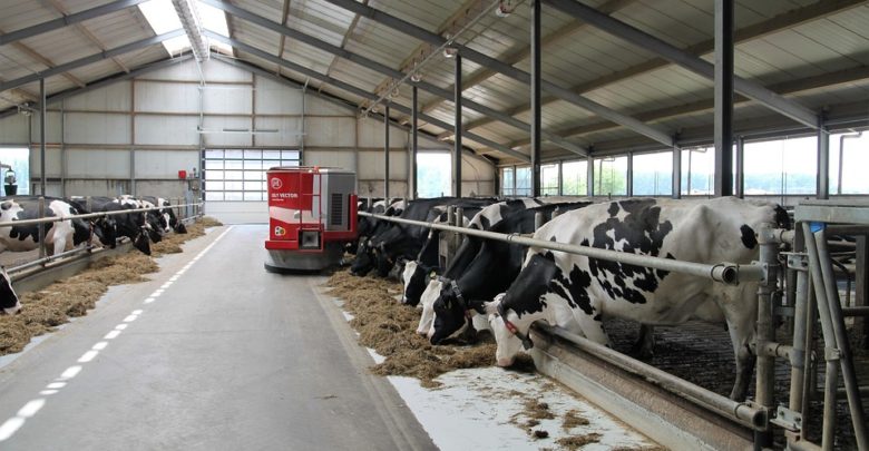Photo de Filière laitière aux Pays-Bas : Hyper compétitivité ou dumping environnemental ?