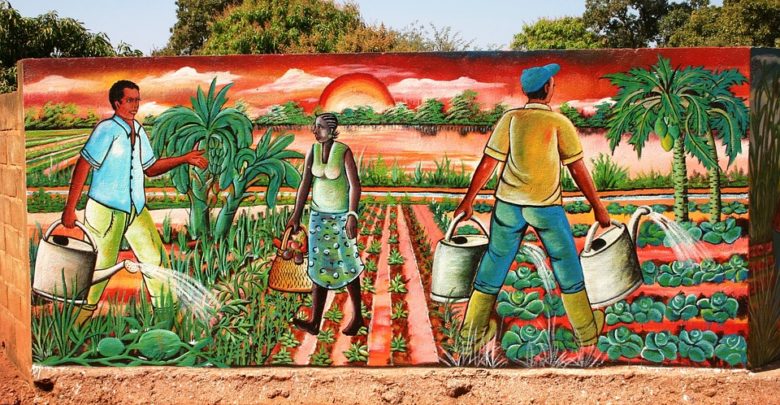 Photo de Investissement agricole en Afrique : un niveau faible… de nombreuses opportunités