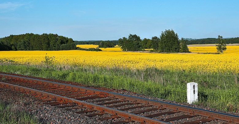 Photo de Biocarburants : une politique plus flexible est possible