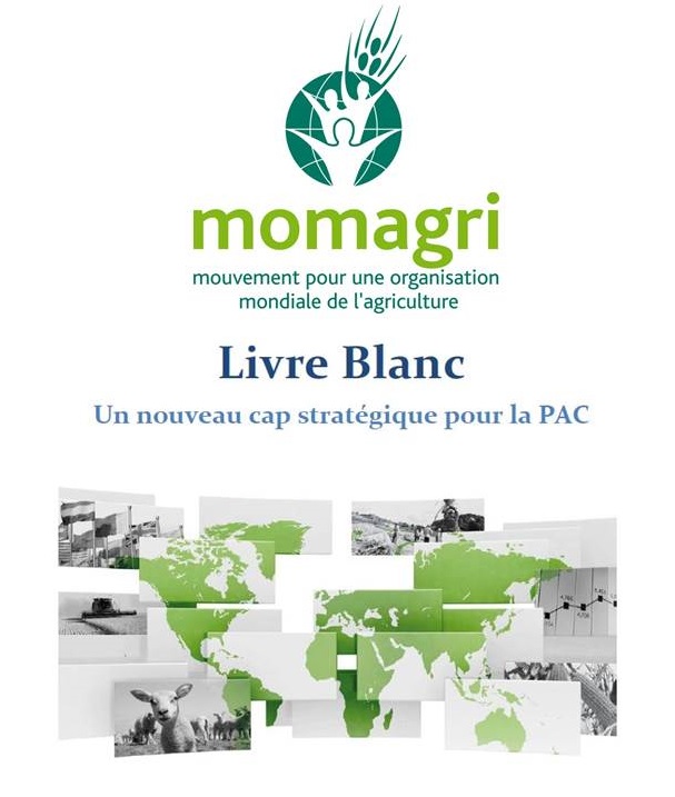 IMage livre blanc bis