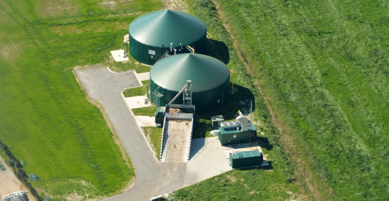 Photo of In Germany, the bankruptcy of the largest agricultural firm revives the debate on the regulation of land