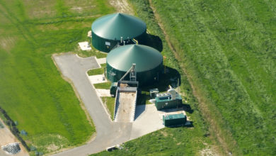 Photo de En Allemagne, la faillite de la plus grande firme agricole relance le débat sur la régulation du foncier