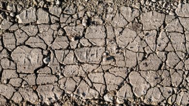 Photo de En Afrique de l’est, l’agriculture au défi des sécheresses récurrentes