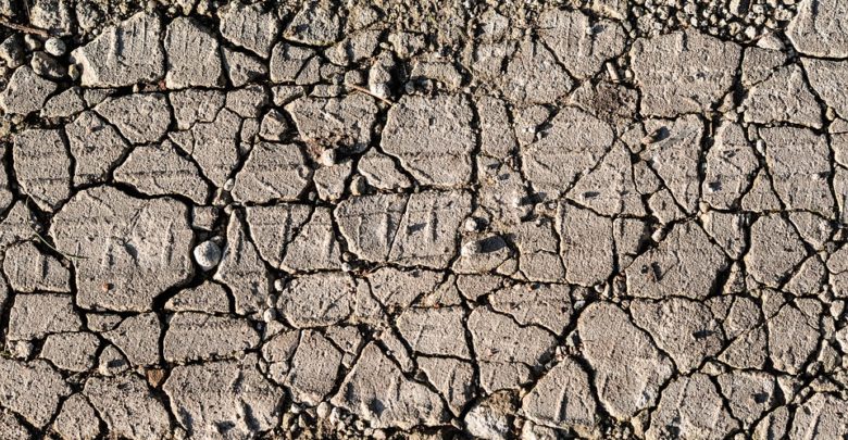 Photo de En Afrique de l’est, l’agriculture au défi des sécheresses récurrentes