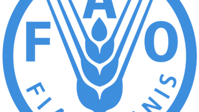 Photo de Renforcer les systèmes alimentaires durables grâce aux indications géographiques