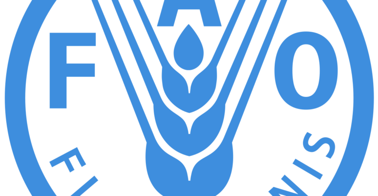 Photo of Strengthening sustainable food systems through geographical indications