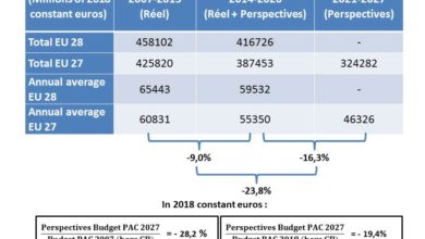 Photo of Decrease in the EU27 CAP budget by almost 30% in twenty years: the gradual abandonment of the only integrated European policy