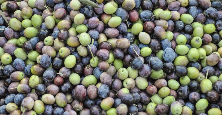 Photo of Will Spanish ripe olives puncture the CAP?