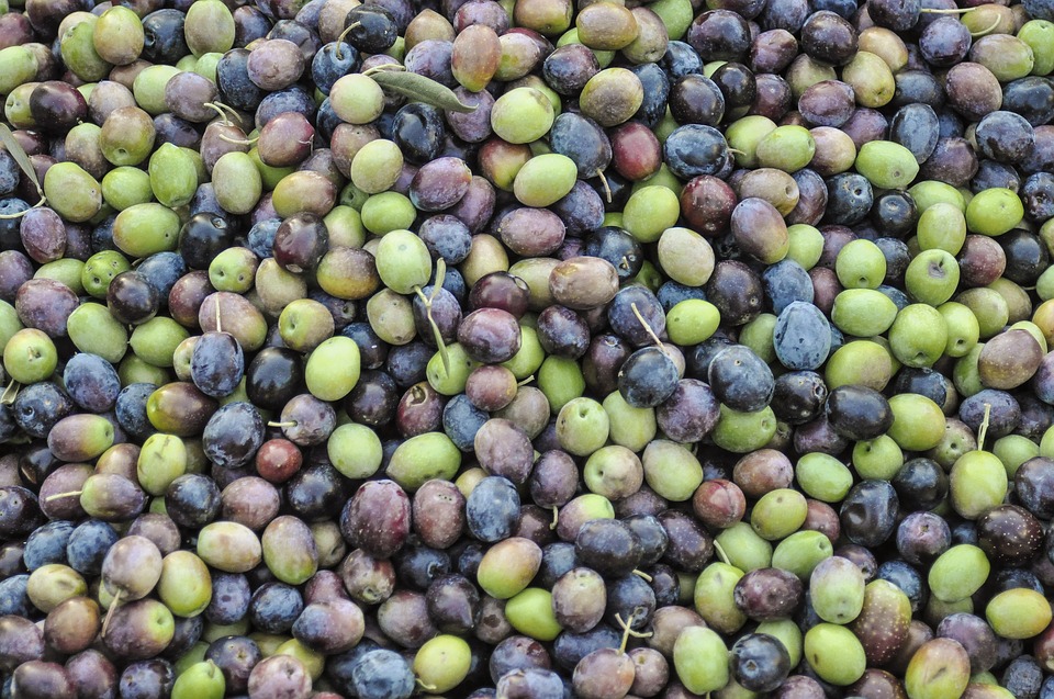 Will Spanish ripe olives puncture the CAP? / Agriculture Stratégies