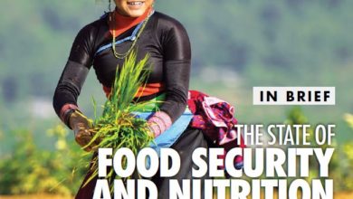 Photo de Faim dans le monde: une décennie d’efforts gâchés d’après le dernier rapport de la FAO