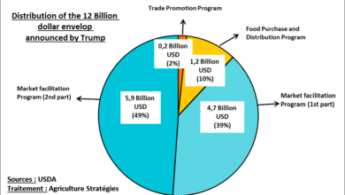 Photo of US-China trade war: soybeans and pork at the heart of Trump’s 12 billion announced support