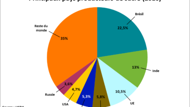 Photo de Politiques sucrières à travers le monde