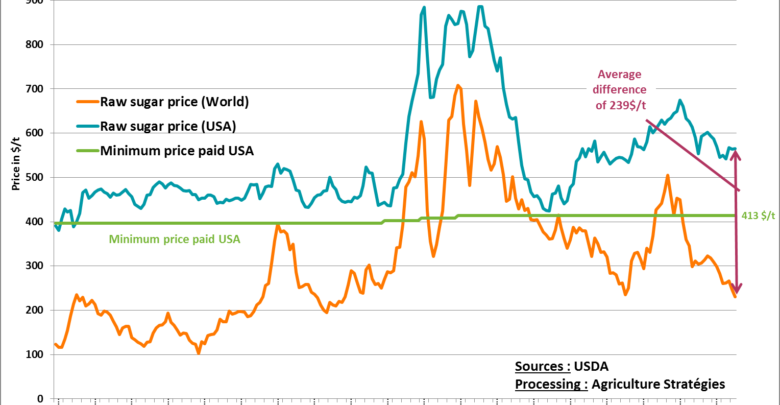 Photo of The sugar policy in the United States: a continuous management of the internal market