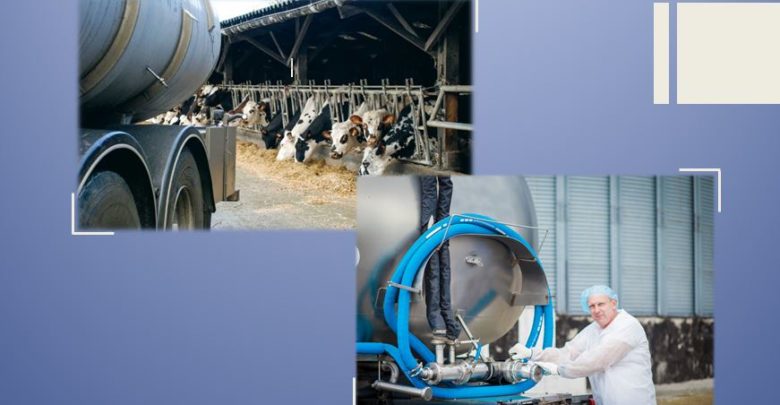 Photo of Lessons from US Dairy Policy on Value-Added Sharing