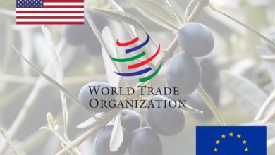 Photo de Affaire des olives espagnoles : l’Union européenne a-t-elle sur-réagi en saisissant l’OMC pour défendre les aides découplées ?
