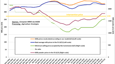 Photo of Milk powder stocks: the Commission’s strategy cost European milk producers €2.3 billion