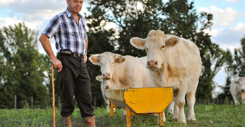 Photo de Pas d’alimentation durable sans hommes ni vaches