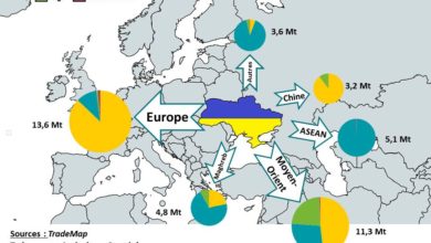 Photo de Exportations de maïs ukrainien vers l’Union européenne : contre-sens sur les nouvelles routes de la soie ?