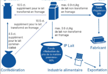 Photo of Repeal of the Swiss “chocolate law”: a sleight of hand between export subsidy and aid coupled with production