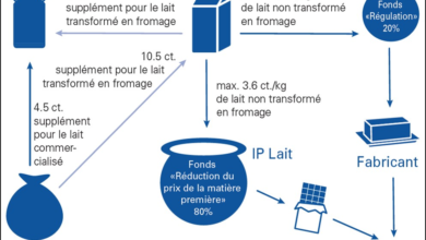 Photo de Abrogation de la « loi chocolatière » suisse : un tour de passe-passe entre subvention à l’exportation et aides couplées à la production