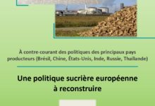 Photo of A European sugar policy that needs rebuilding