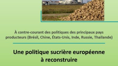 Photo de Une politique sucrière européenne à reconstruire
