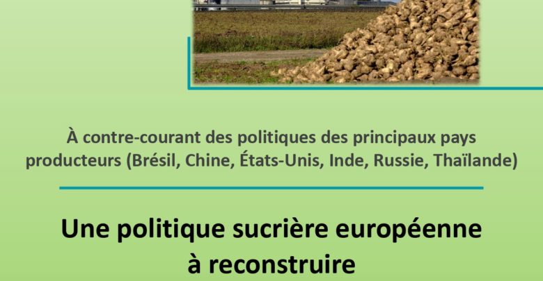 Photo de Une politique sucrière européenne à reconstruire