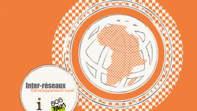 Photo de Le rôle croissant du secteur privé dans les politiques agricoles et alimentaires en Afrique