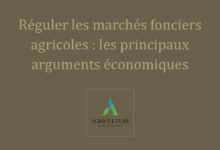 Photo of Regulating agricultural land markets: the main economic arguments