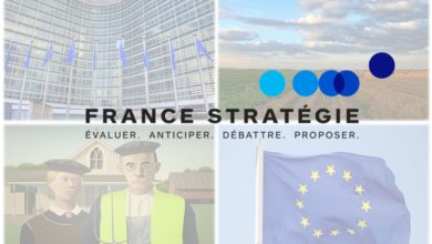 Photo de Rapport France Stratégie sur la PAC : entre assistanat aveugle et risque d’effet « gilets jaunes »