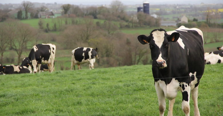 Photo de Covid-19 et réduction de la production de lait proposée par la CNIEL : qu’en penser ?