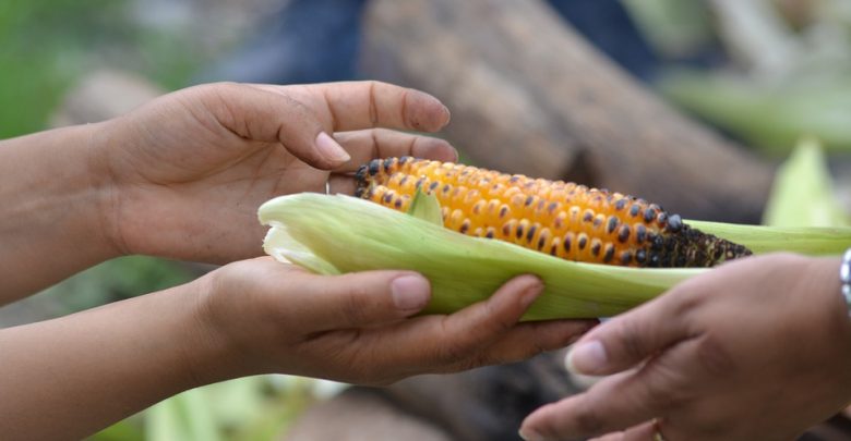 Photo de Aide alimentaire : aux Etats-Unis, un budget 150 fois plus important qu’en Europe
