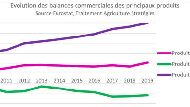 Photo de La réussite de la PAC peut elle être illustrée par l’excédent de la balance commerciale agroalimentaire ?