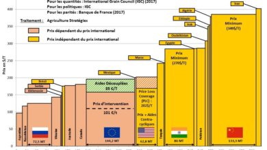 Photo de INDE – vers la fin de la politique des prix garantis ?
