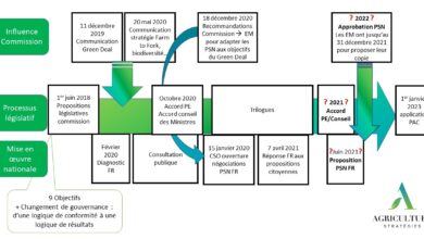 Photo de Les plans stratégiques nationaux : attentes multiples et gestion alourdie pour un résultat incertain