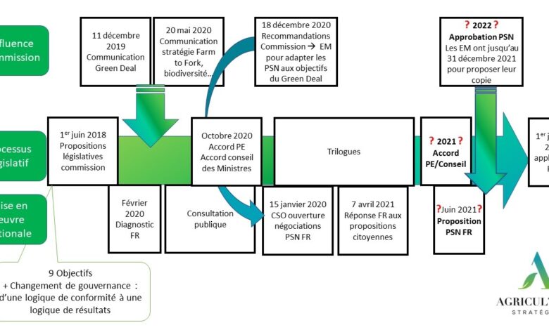 Photo de Les plans stratégiques nationaux : attentes multiples et gestion alourdie pour un résultat incertain