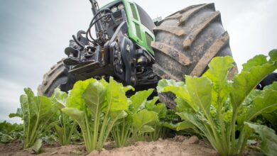 Photo de Crise de gouvernance chez Tereos : un épisode final riche d’enseignements