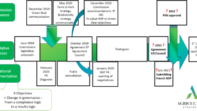 Photo of National strategic plans – multiple expectations and burdened governance for an uncertain achievement
