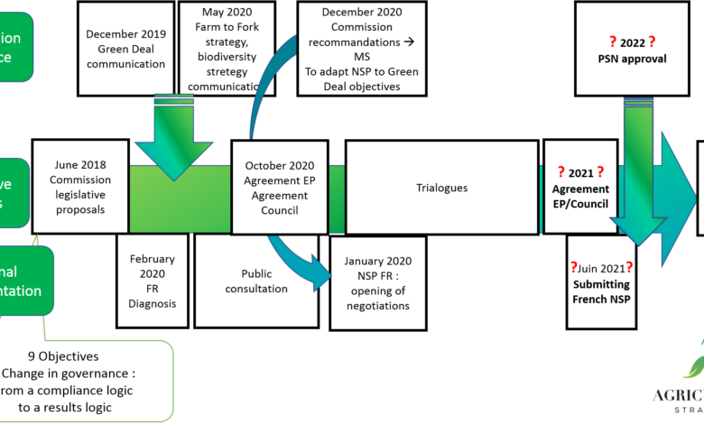 Photo of National strategic plans – multiple expectations and burdened governance for an uncertain achievement