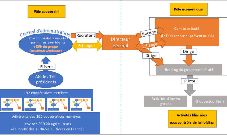 Photo de InVivo-Soufflet : naissance d’un (futur) mastodonte agricole