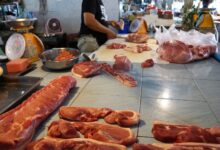 Photo of Short food supply chain and direct sale: around preconceived ideas