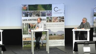 Photo de La souveraineté alimentaire est-elle une utopie face à la réalité des marchés agricoles ?