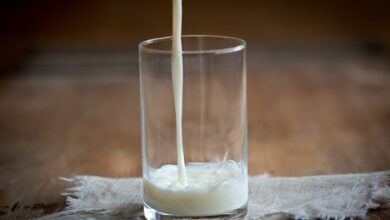 Photo de La filière lait bio perd l’équilibre