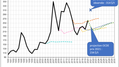 Photo de Les projections OCDE – FAO sur les prix agricoles continuent d’être totalement déconnectées des réalités