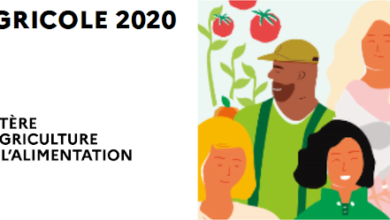 Photo de Recensement agricole 2020 : le point de vue d’un agriculteur