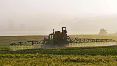 Photo de De l’inefficacité de l’UE pour bâtir un cadre règlementaire commun : l’exemple de la directive pesticides de 2009